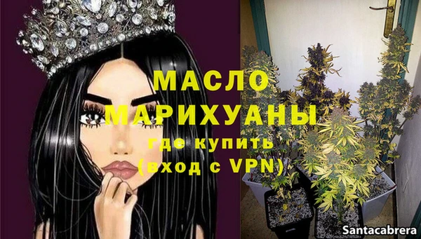 шишки Арсеньев