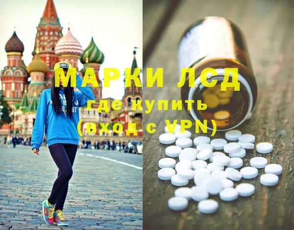 шишки Арсеньев