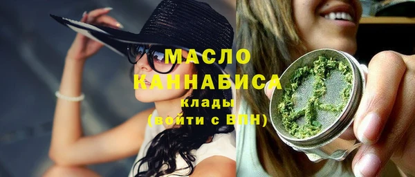 шишки Арсеньев