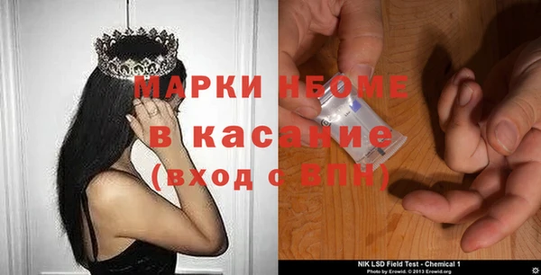 шишки Арсеньев