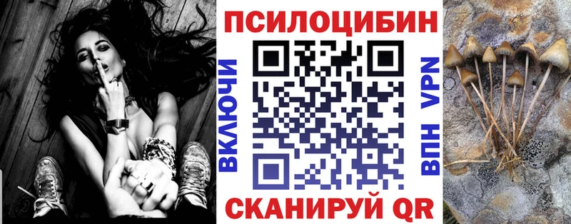 Псилоцибиновые грибы Psilocybe  Асбест 